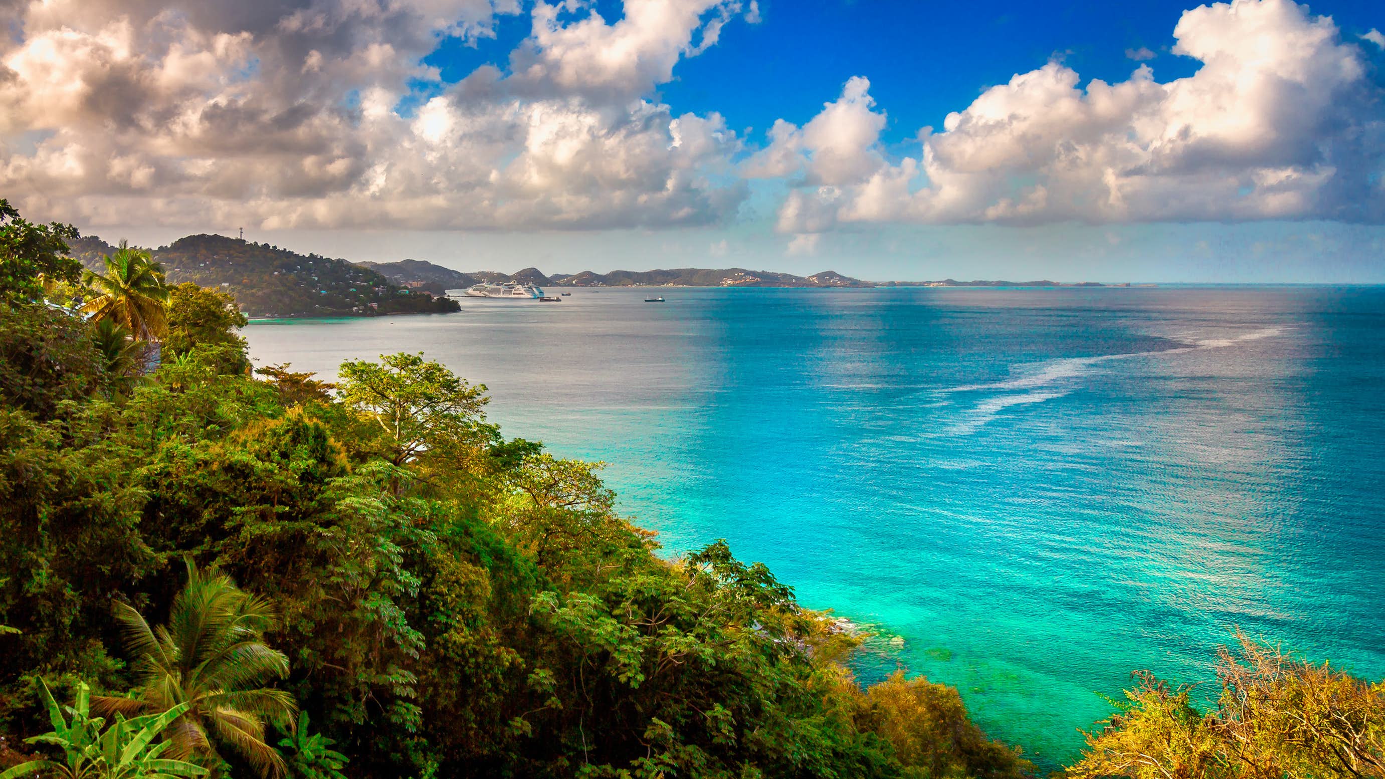 A breathtaking view from a hill in the Caribbean Windward Islands, featuring lush greenery and, in the distance, the vast expanse of the deep blue sea—a perfect moment on your Yacht Charter Itinerary.